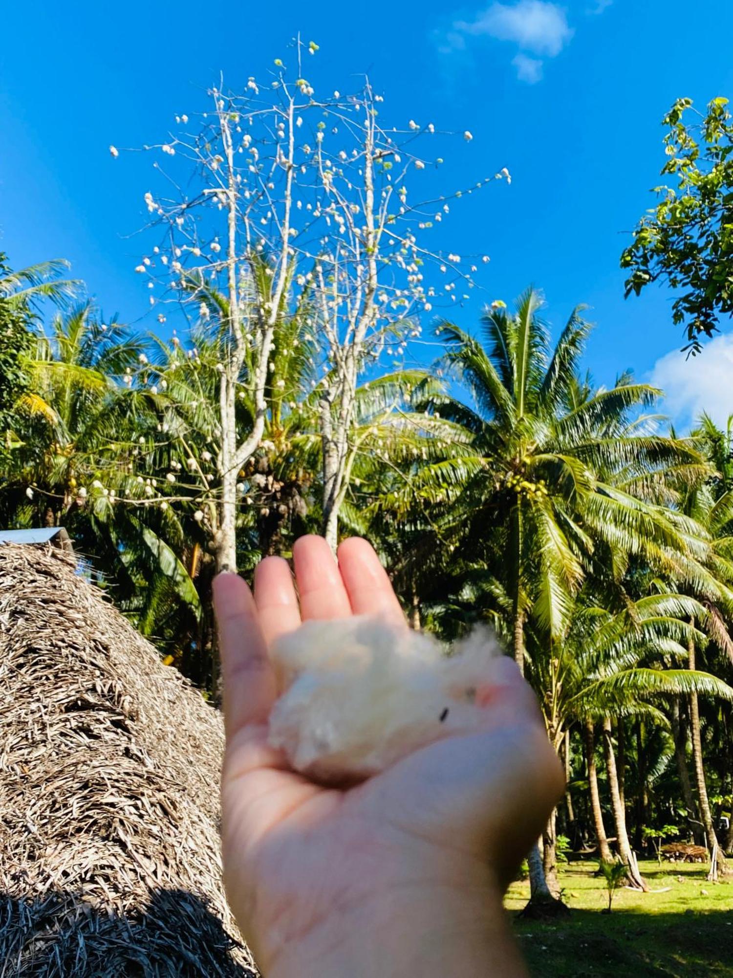 Maroe Huahine Serenity Cottage מראה חיצוני תמונה